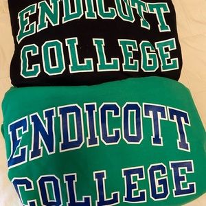 Endicott College set of two sz Large hoodie sweatshirts in excellent condition